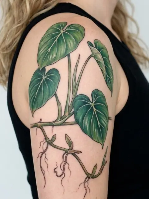 Tatouage philodendron botanique coloré sur le haut du bras